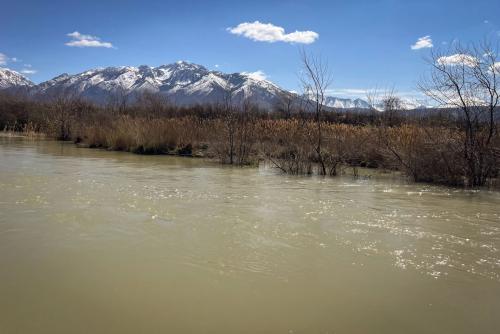 High water during runoff on the Jordan River in Utah County, April 9, 2024. Water levels are high enough to submerge flood plains this year, but with climate change, this could become an increasingly rare occurrence. (Tilda Wilson, KUER)